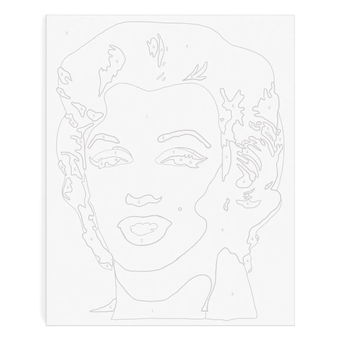 Andy Warhol Marilyn Paint By Number Kit