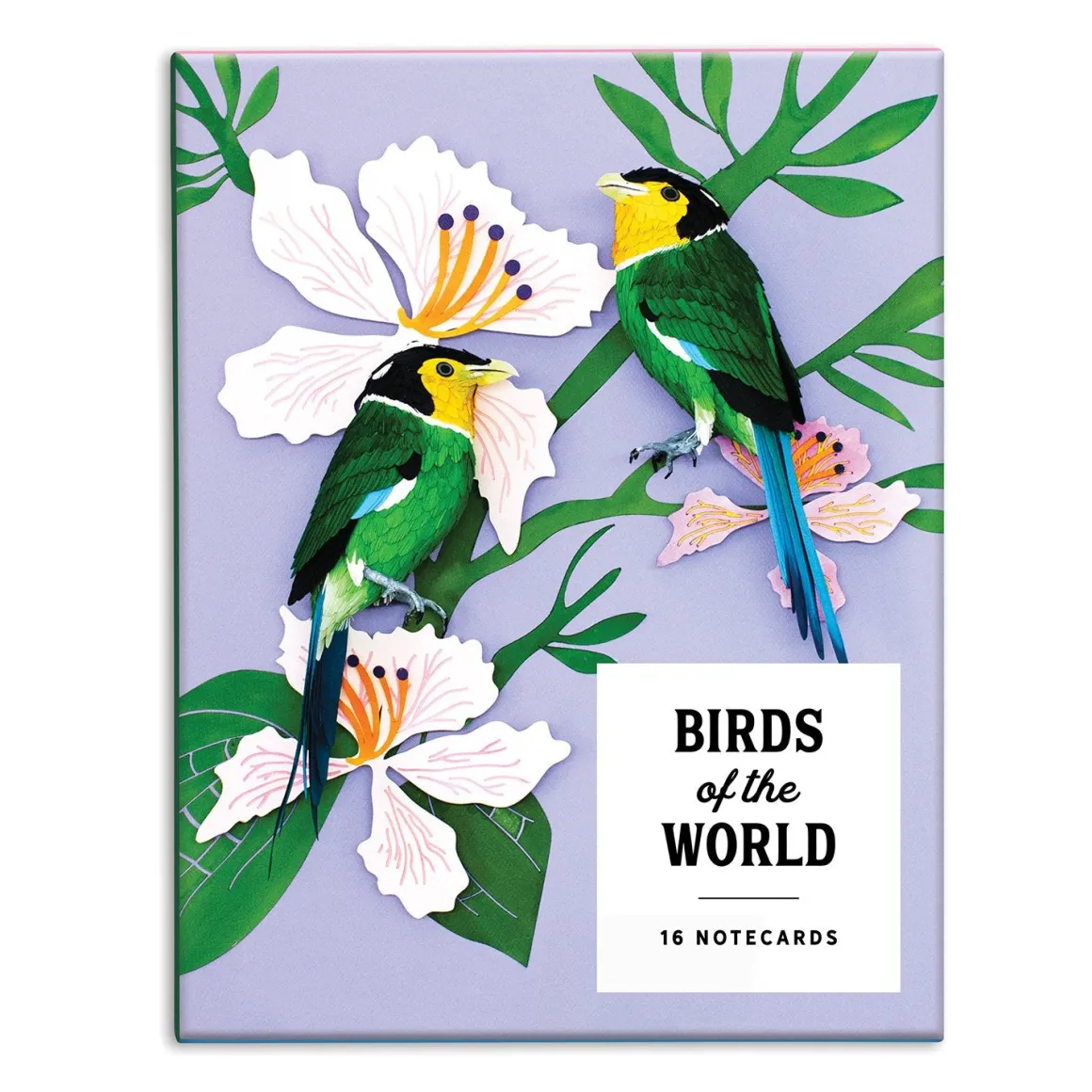Birds of the World Greeting Assortment Notecard Set