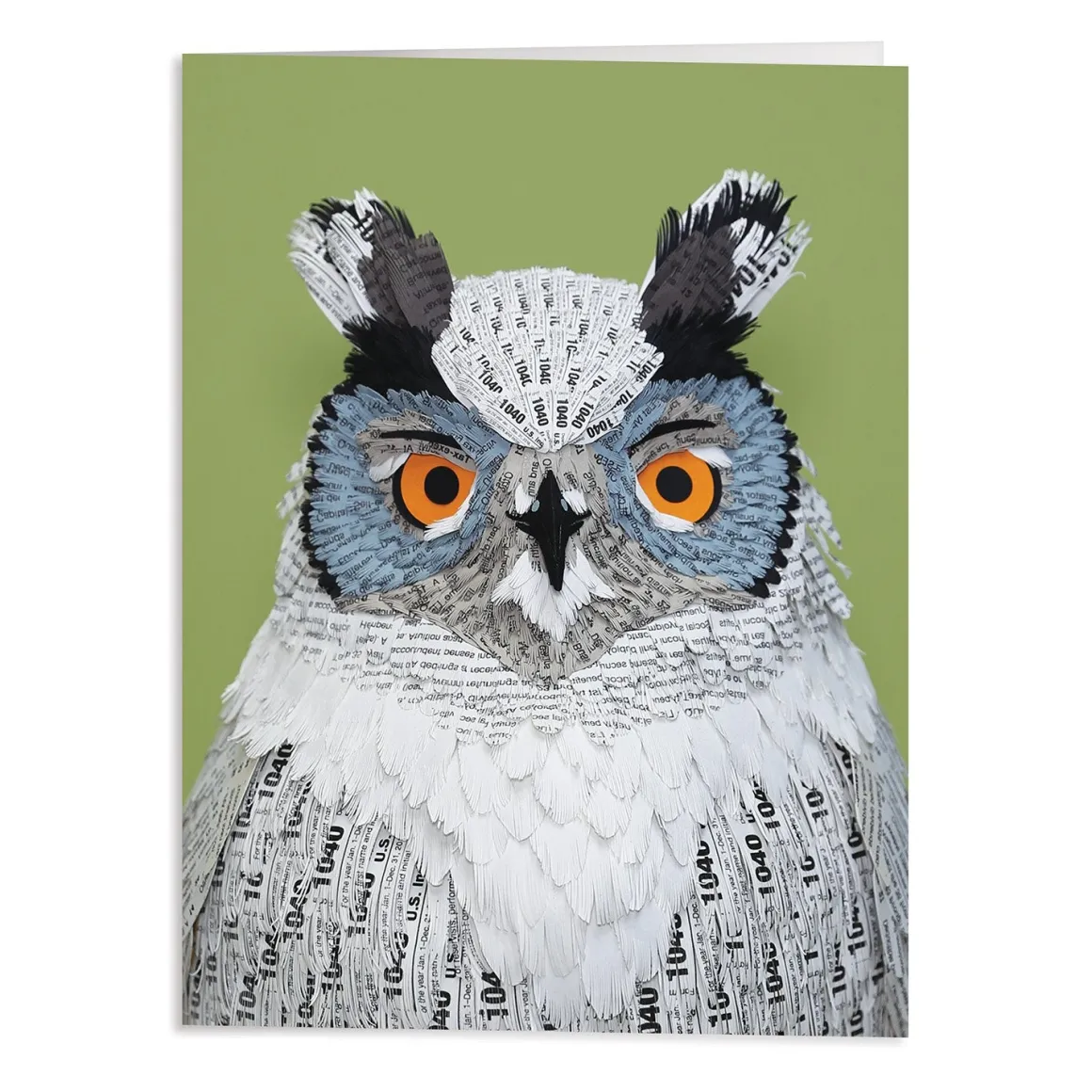 Birds of the World Greeting Assortment Notecard Set