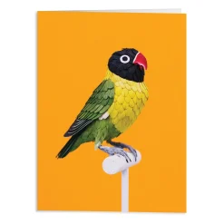 Birds of the World Greeting Assortment Notecard Set