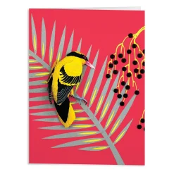 Birds of the World Greeting Assortment Notecard Set