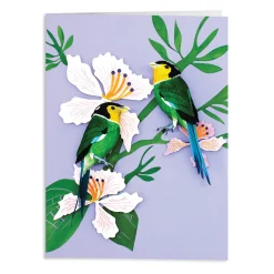 Birds of the World Greeting Assortment Notecard Set