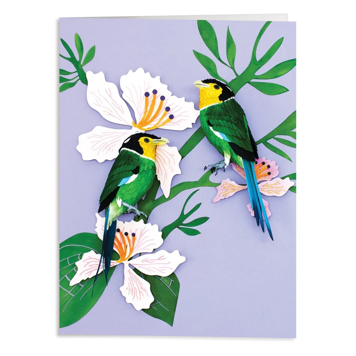 Birds of the World Greeting Assortment Notecard Set