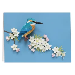 Birds of the World Greeting Assortment Notecard Set