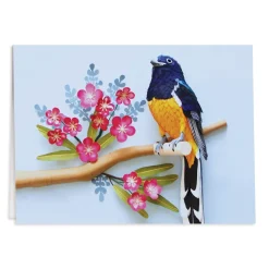 Birds of the World Greeting Assortment Notecard Set
