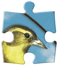 Birds Sinfonia Double-Sided 250 Piece Jigsaw Puzzle