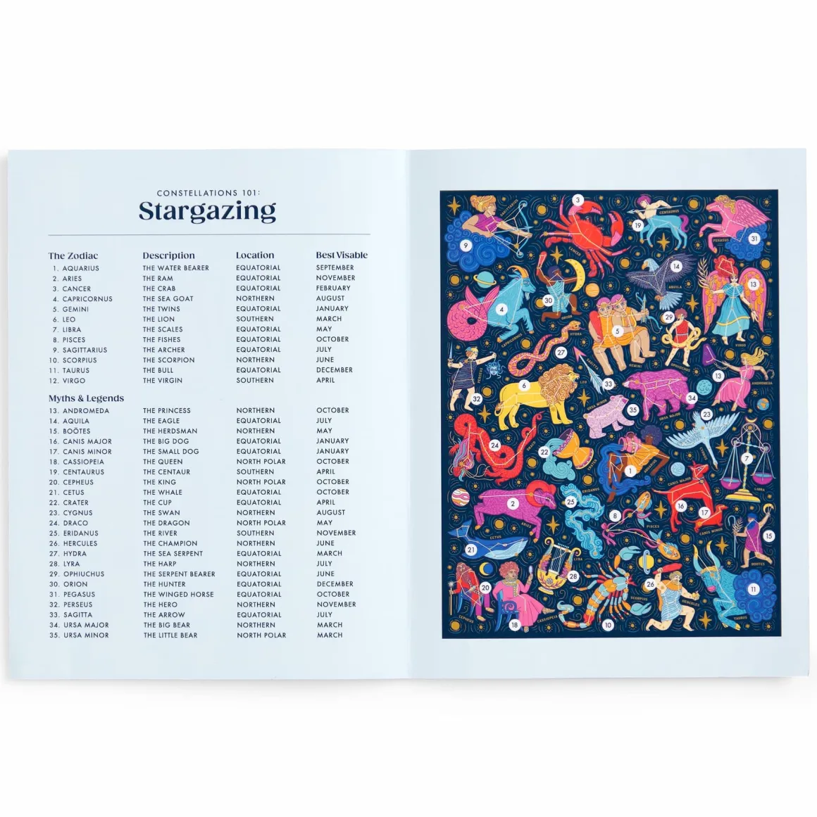 Constellations 101: Stargazing 500 Piece Book Puzzle