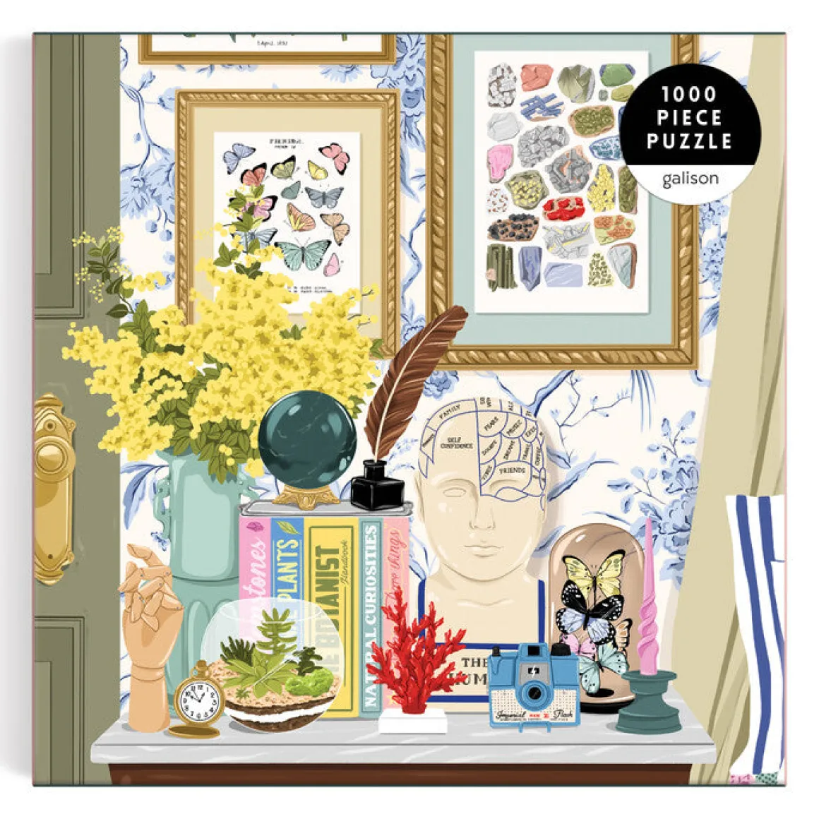 Curiosities 1000 Piece Puzzle