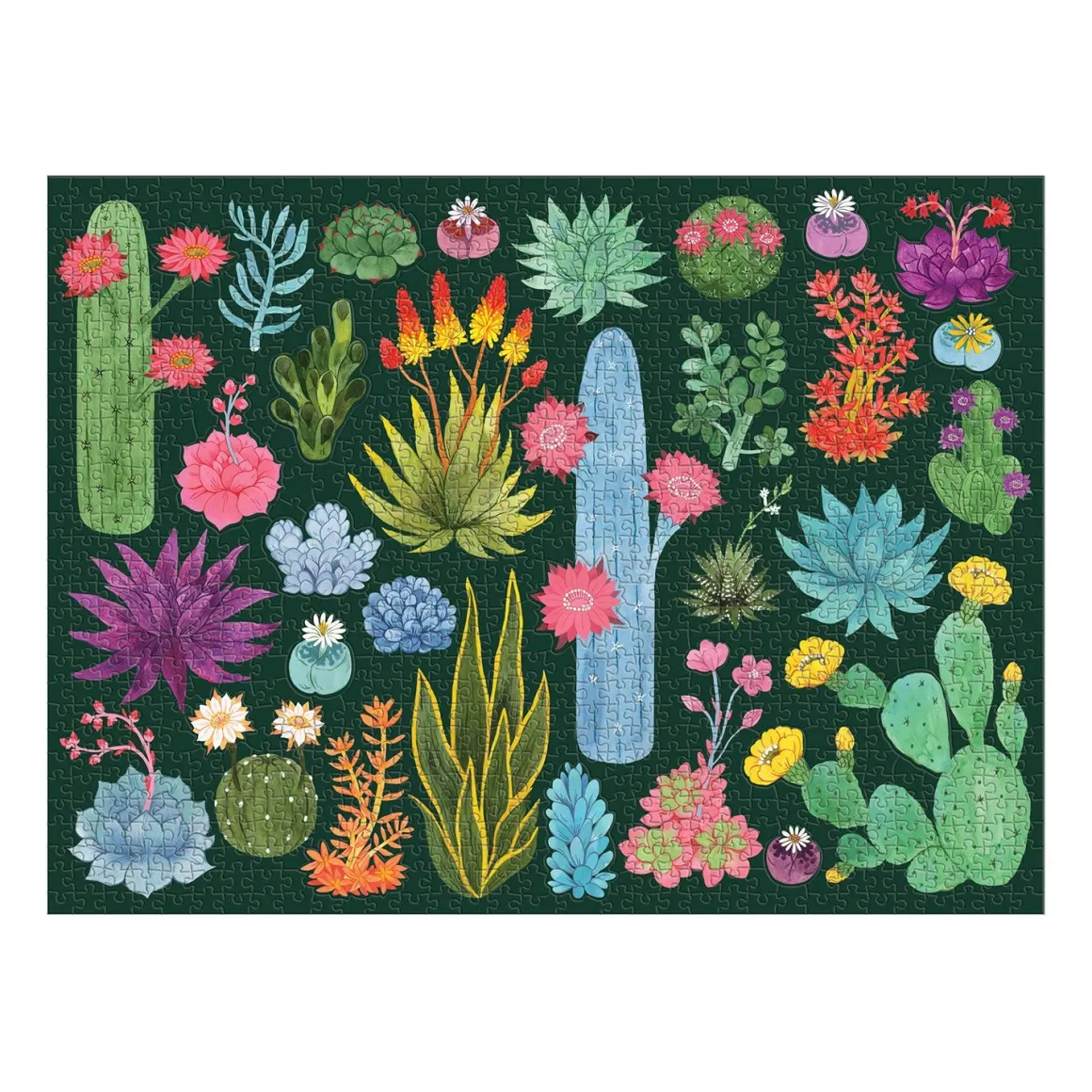 Desert Flora 1000 Piece Jigsaw Puzzle with Shaped Pieces