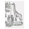 Exotisme Softcover Notebook