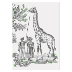 Exotisme Softcover Notebook
