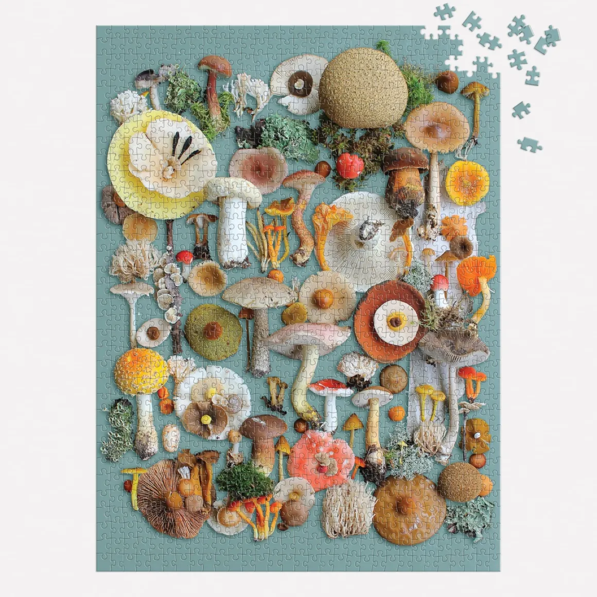 Foraged 1000 Piece Puzzle