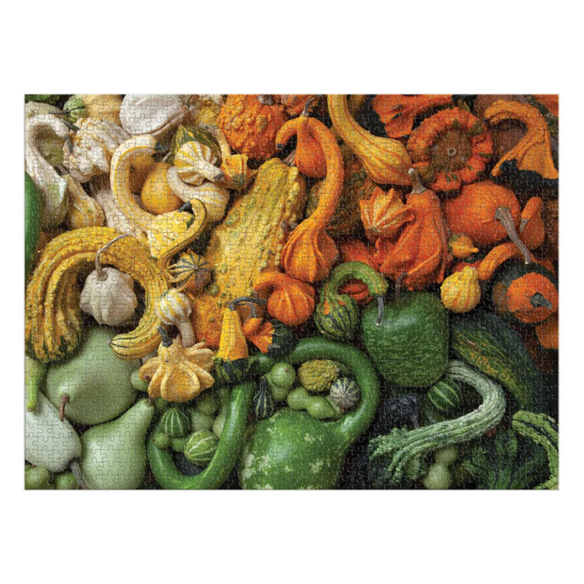 Gourds 1000 Piece Puzzle