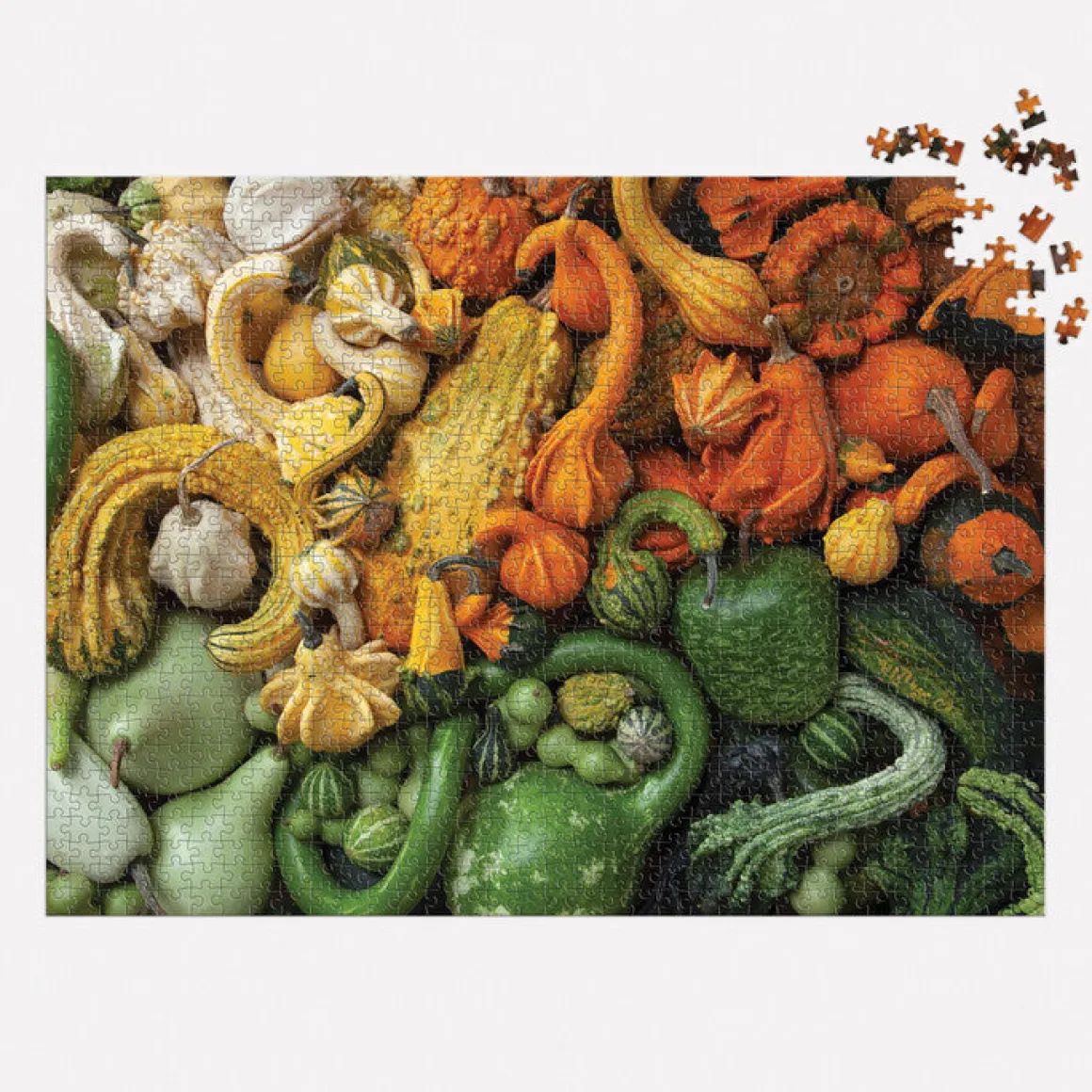 Gourds 1000 Piece Puzzle