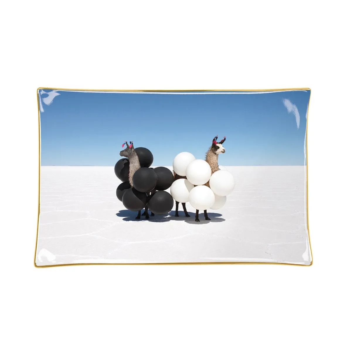 Gray Malin Llamas Porcelain Tray