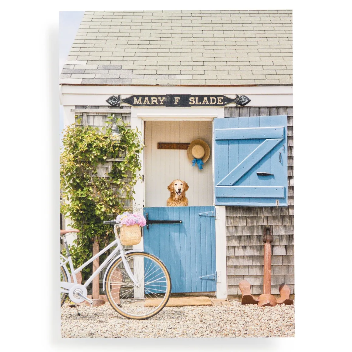 Gray Malin Nantucket 1000 Piece Book Box Puzzle
