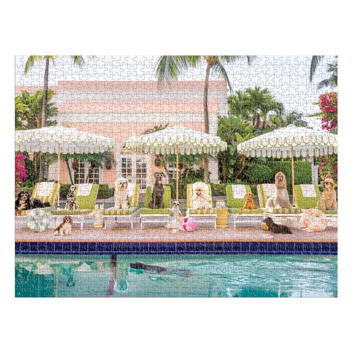 Gray Malin Pool Day Palm Beach 1000 Piece Book Box Puzzle
