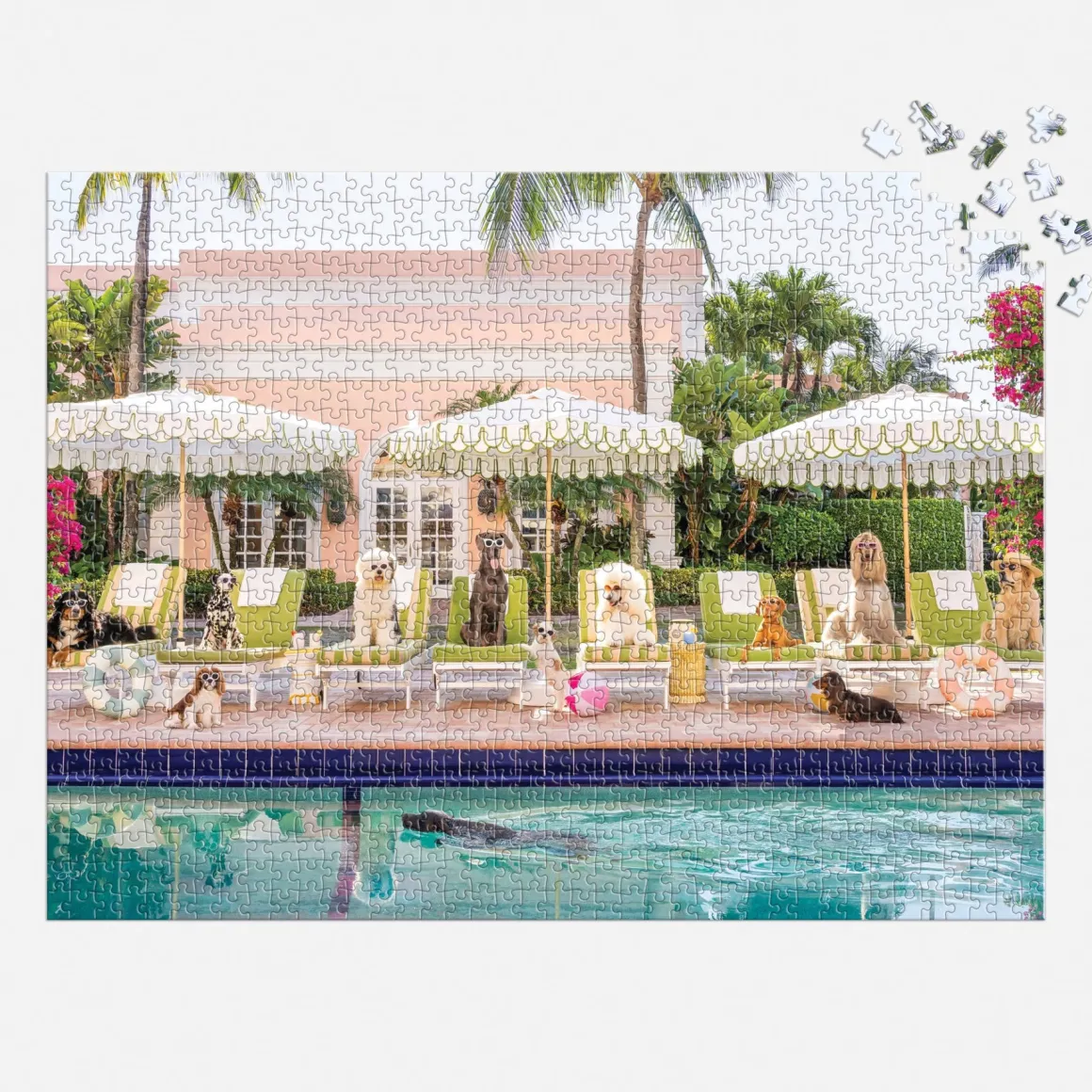 Gray Malin Pool Day Palm Beach 1000 Piece Book Box Puzzle