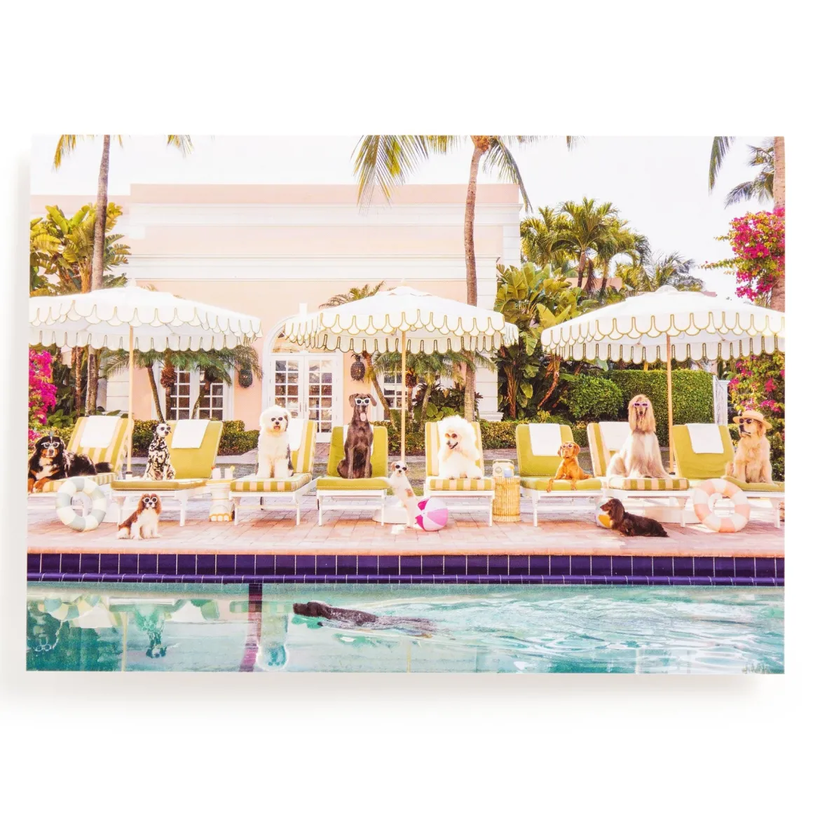 Gray Malin Pool Day Palm Beach 1000 Piece Book Box Puzzle
