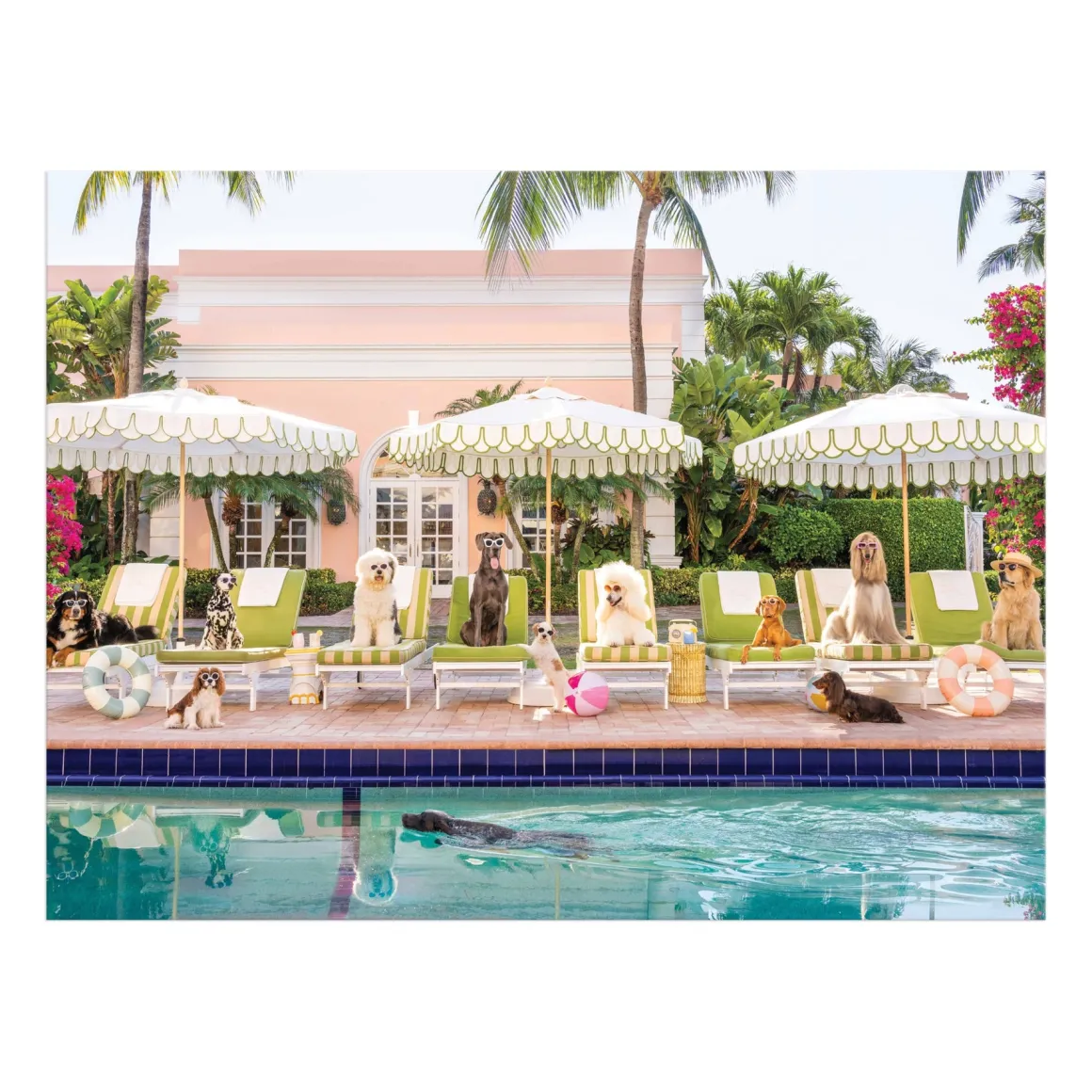 Gray Malin Pool Day Palm Beach 1000 Piece Book Box Puzzle