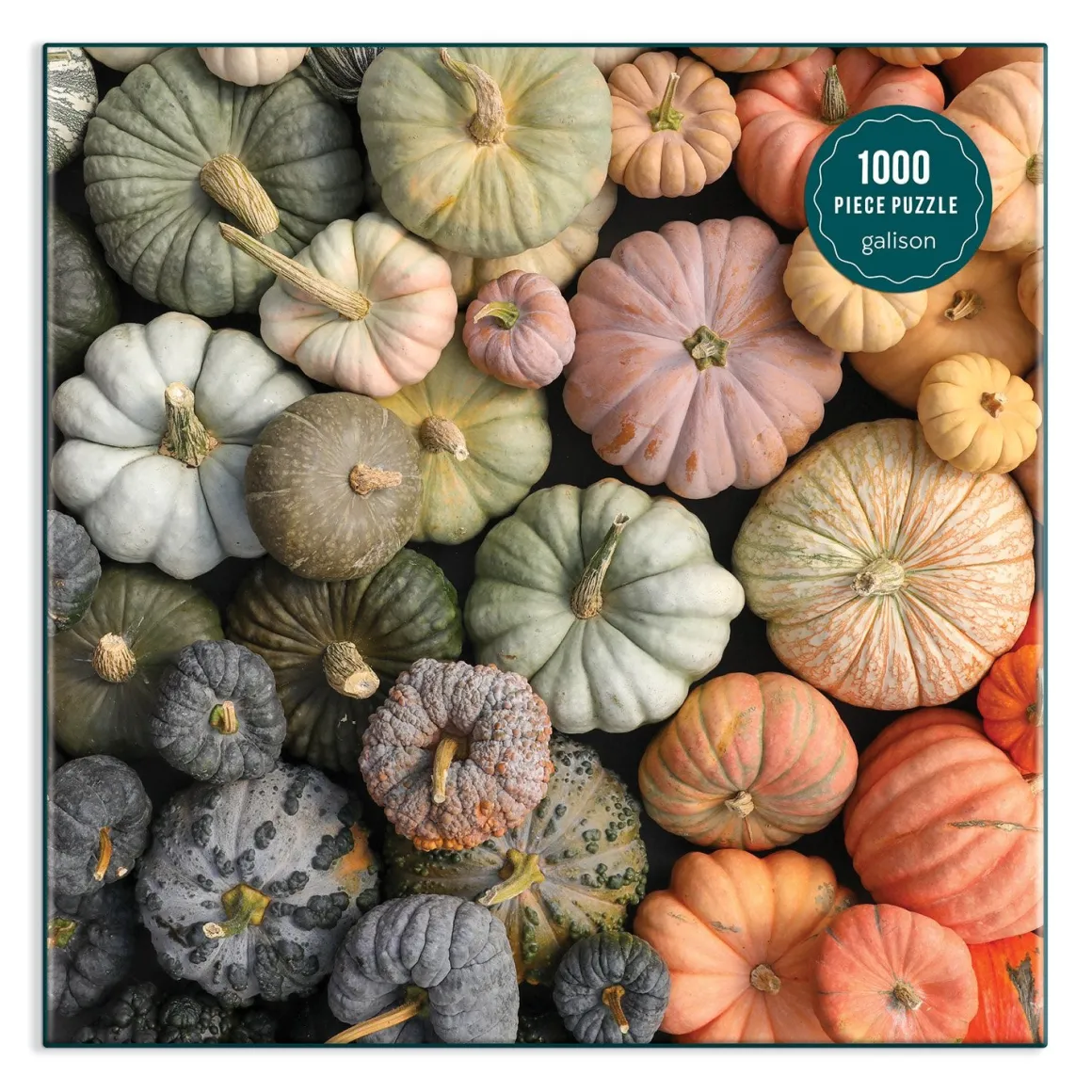 Heirloom Pumpkins 1000 Piece Puzzle