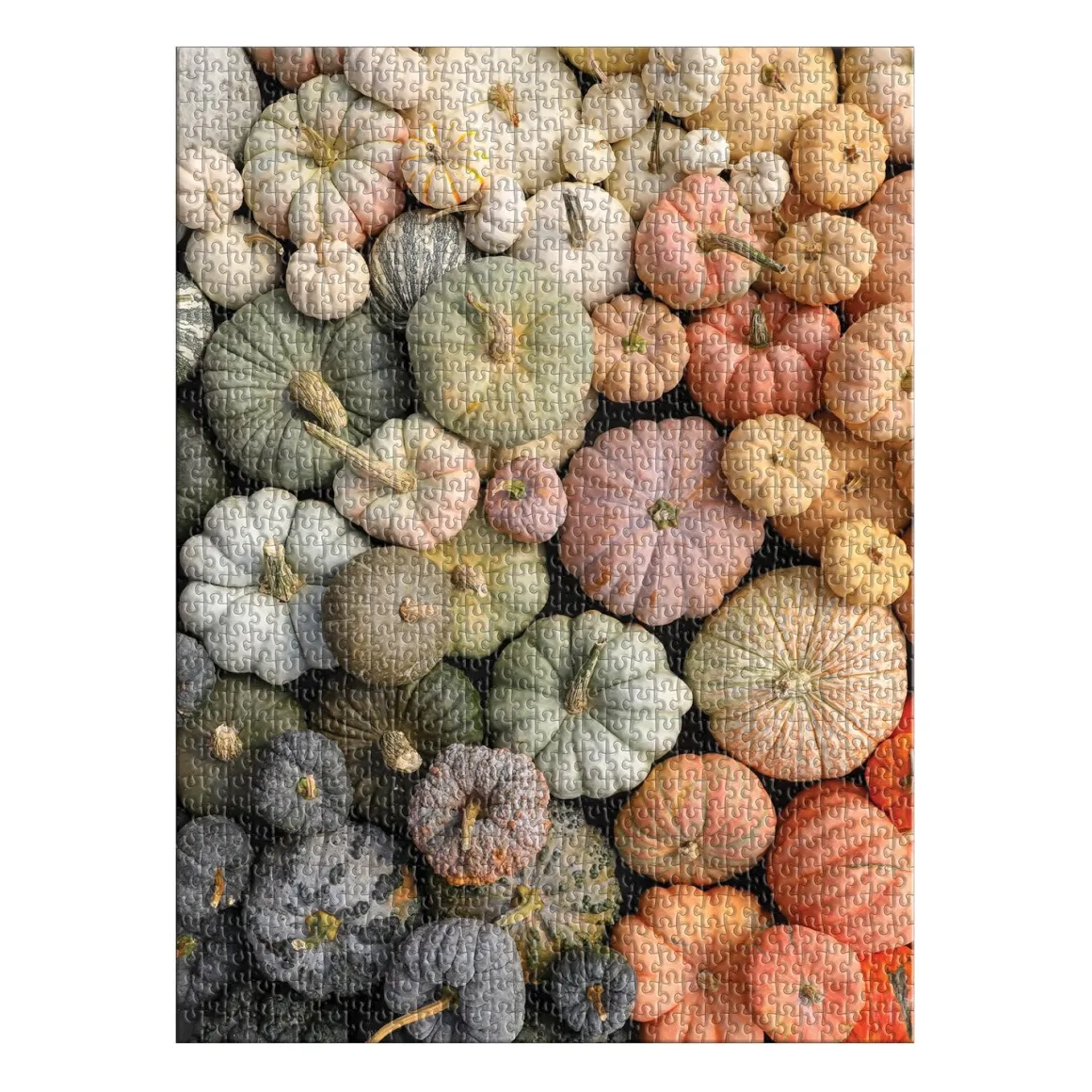 Heirloom Pumpkins 1000 Piece Puzzle