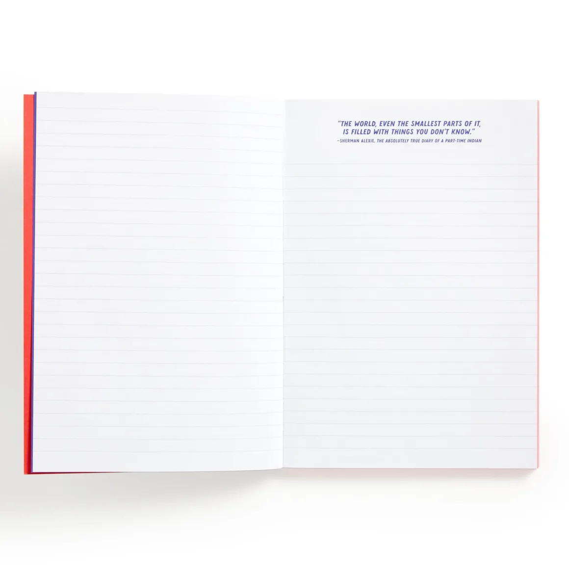 I Read Banned Books A5 Journal
