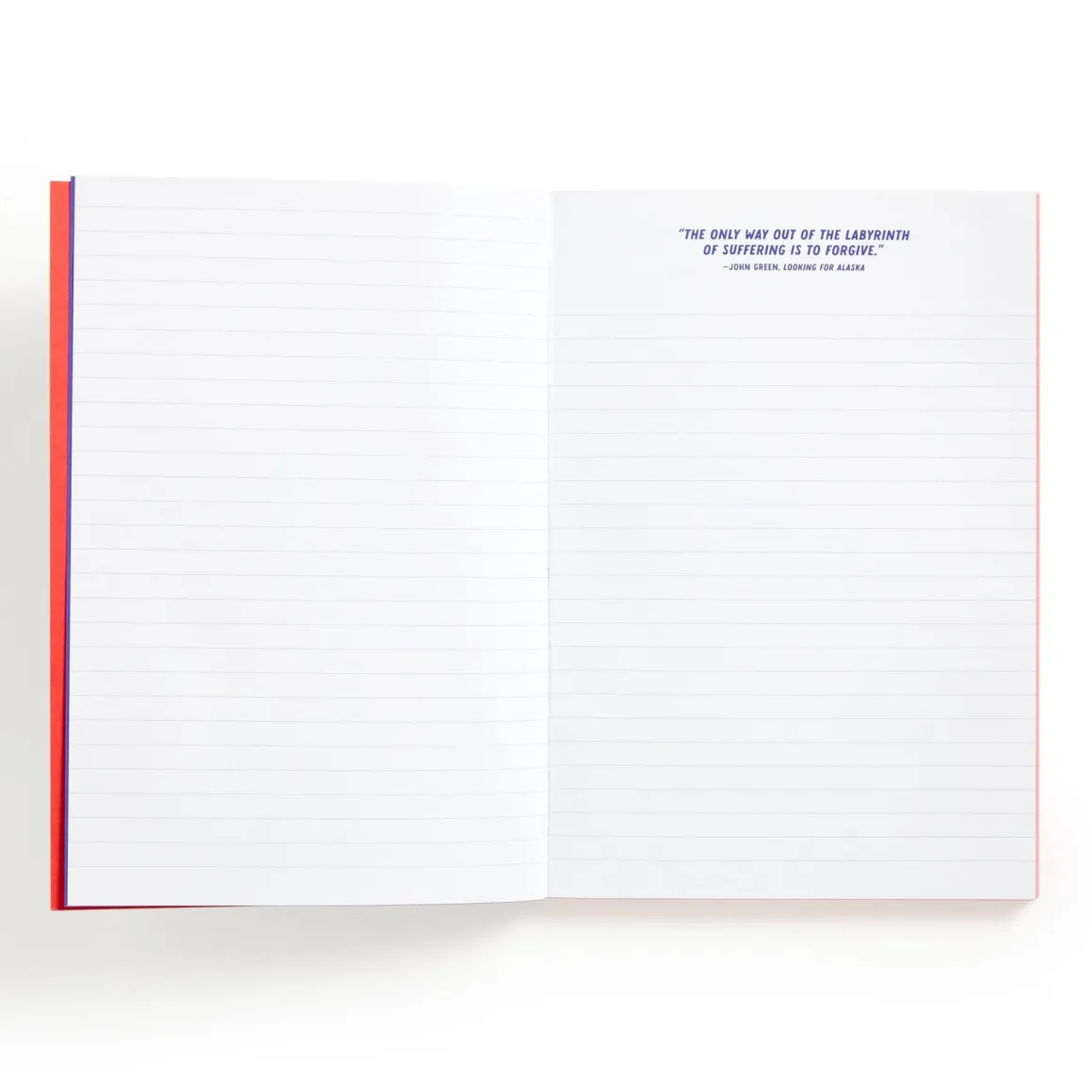 I Read Banned Books A5 Journal