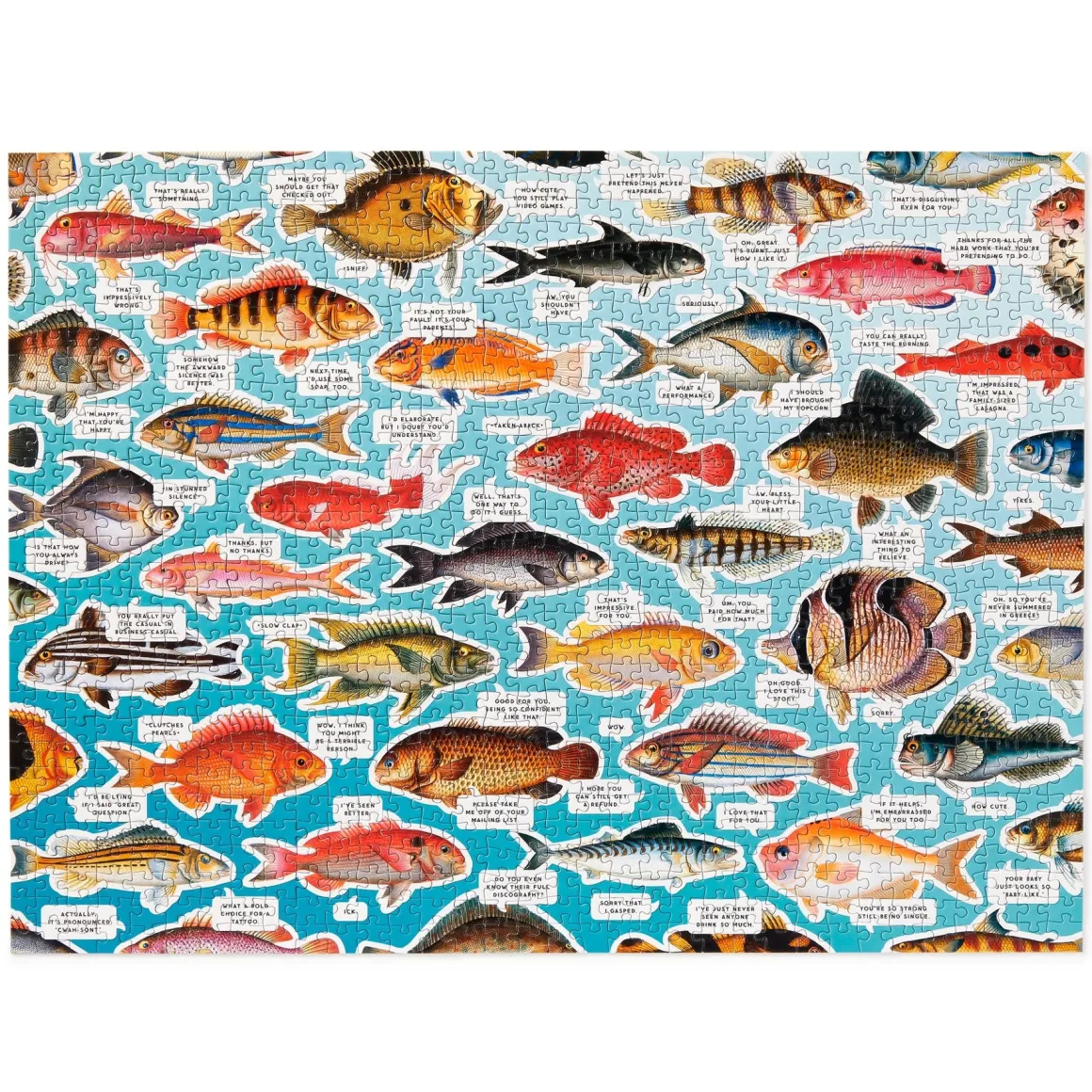 Judgy Fish 1000 Piece Puzzle