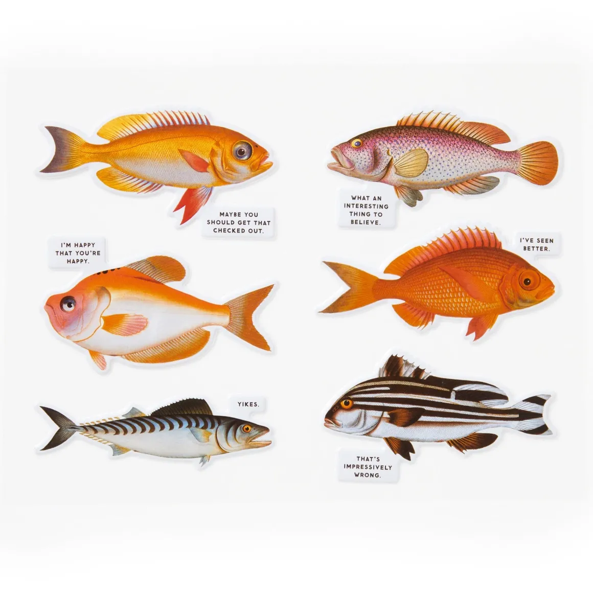 Judgy Fish 1000 Piece Puzzle