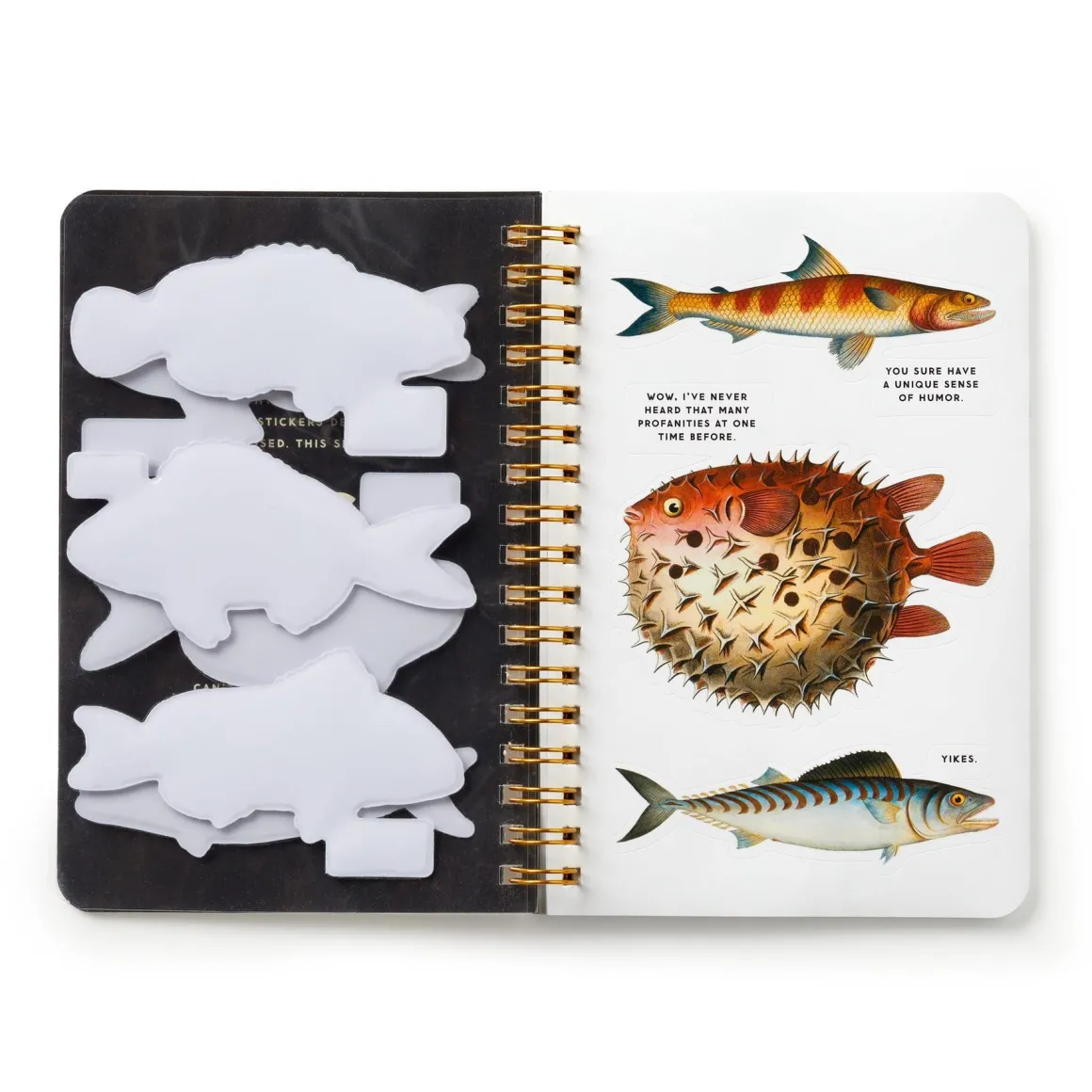 Judgy Fish Sticker Book