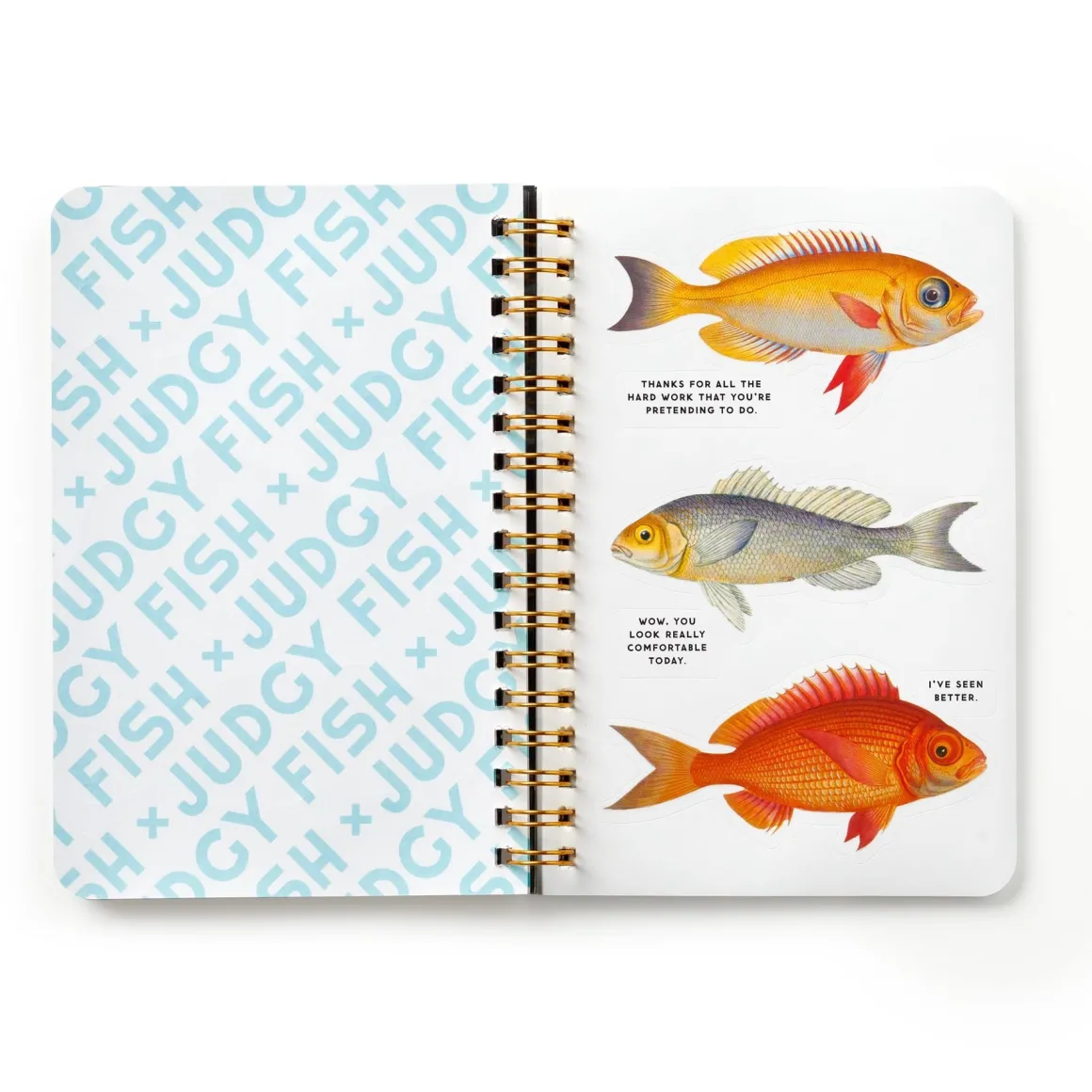 Judgy Fish Sticker Book