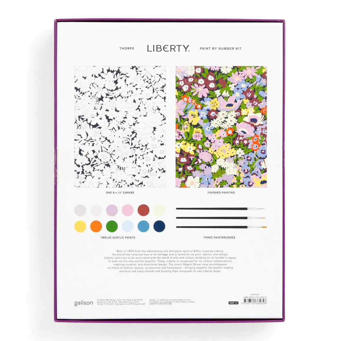 Liberty 9 x 12 Paint by Number Kit Thorpe