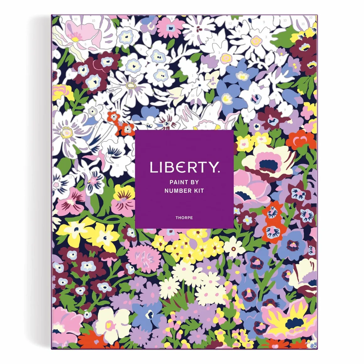Liberty Thorpe 11 x 14 Paint By Number Kit