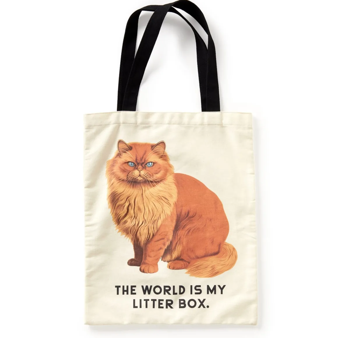 Moody Cats Canvas Tote