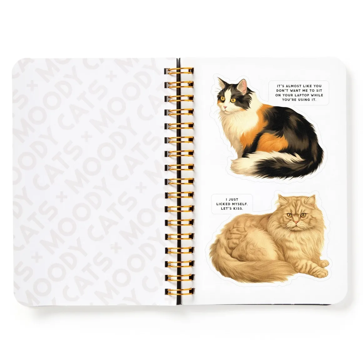 Moody Cats Sticker Book