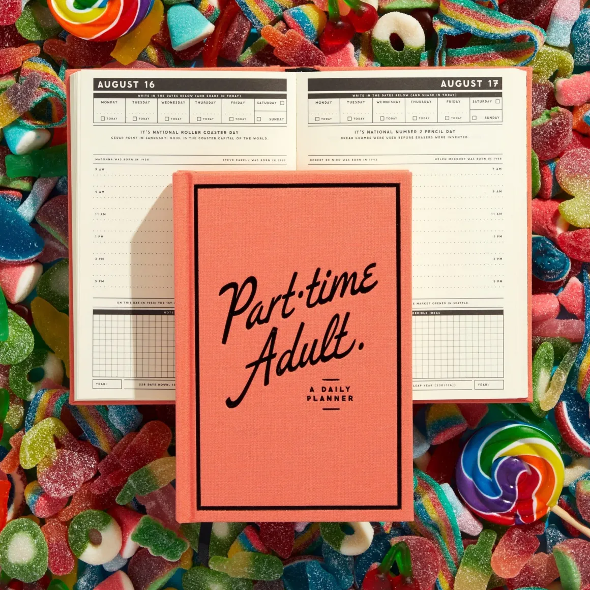 Part-Time Adult Undated Daily Planner
