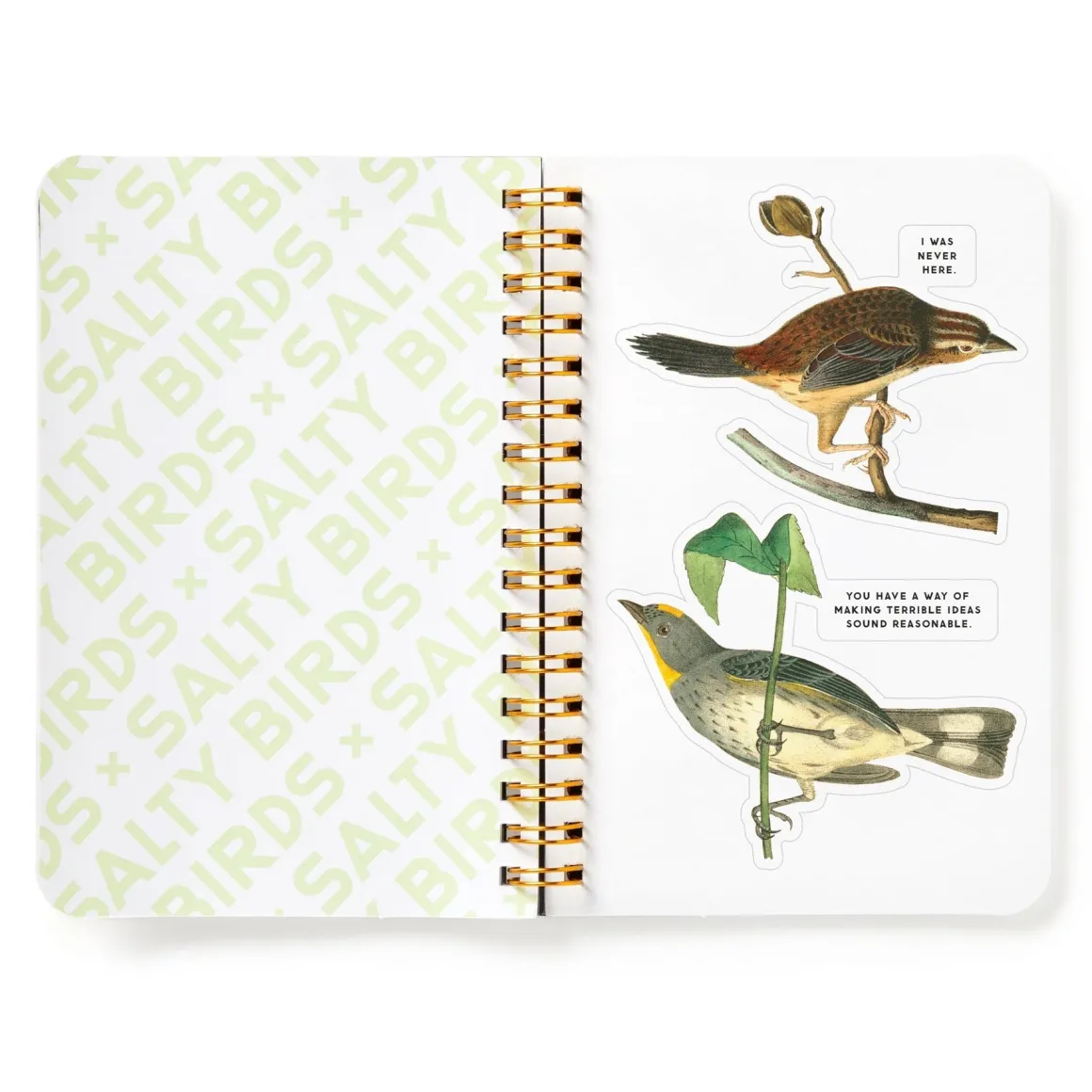 Salty Birds Sticker Book