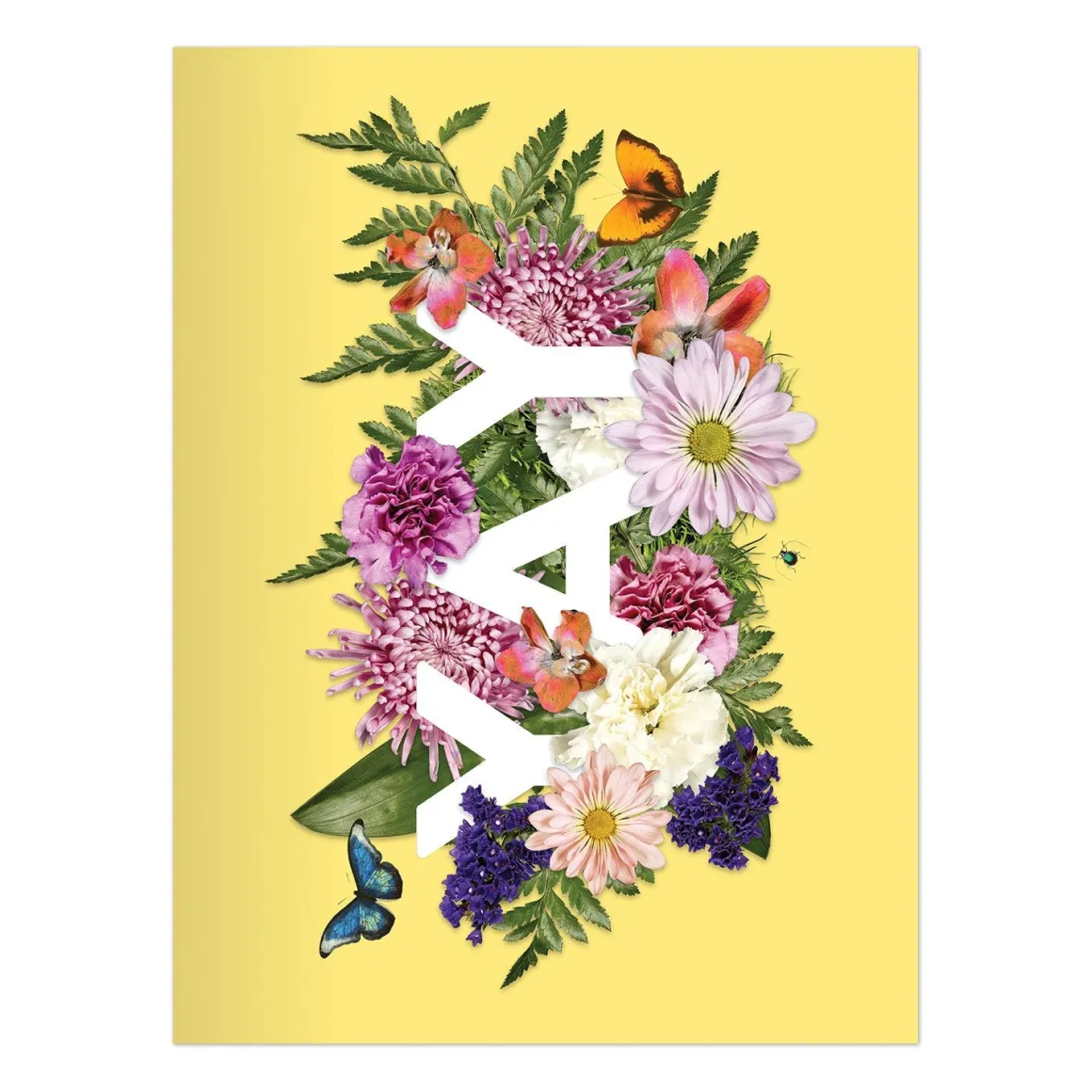 Say It With Flowers Greeting Assortment Notecard Box