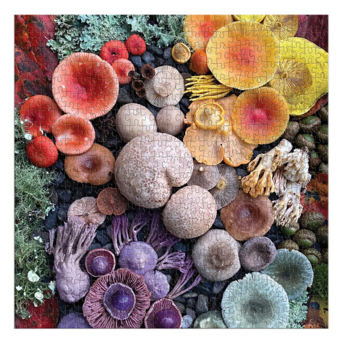 Shrooms in Bloom 500 Piece Puzzle