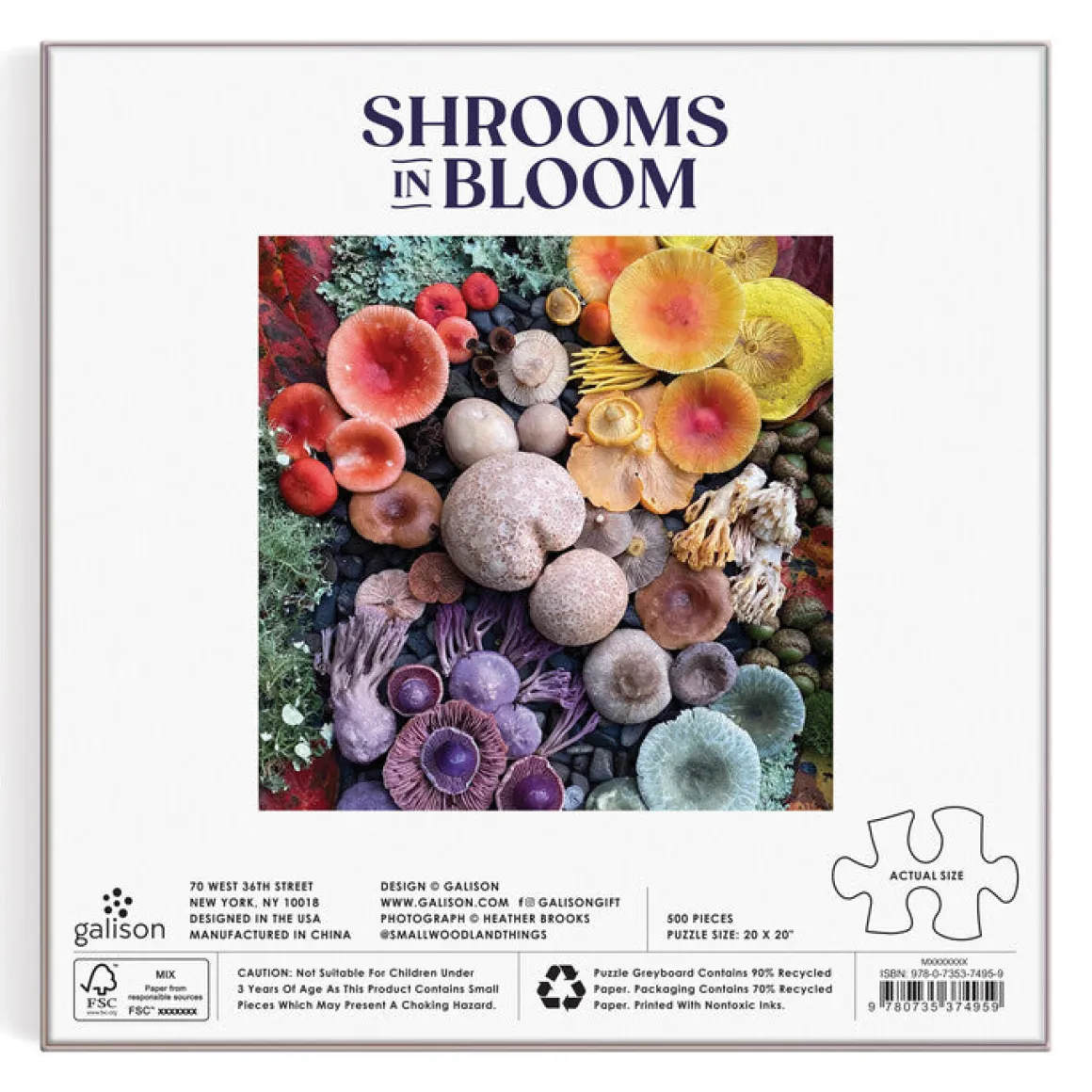 Shrooms in Bloom 500 Piece Puzzle