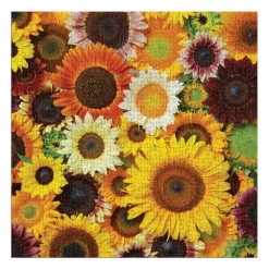 Sunflower Blooms 500 Piece Puzzle