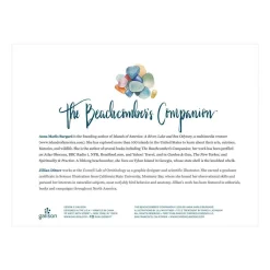 The Beachcomber's Companion 1000 Piece Jigsaw Puzzle With Shaped Pieces