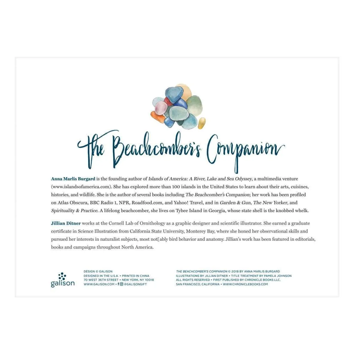 The Beachcomber's Companion 1000 Piece Jigsaw Puzzle With Shaped Pieces