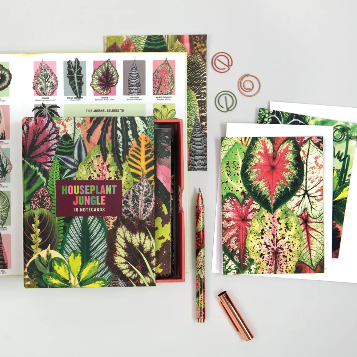 Troy Litten Houseplant Jungle Greeting Assortment Notecards