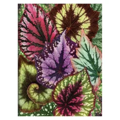 Troy Litten Houseplant Jungle Greeting Assortment Notecards