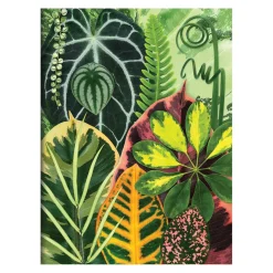 Troy Litten Houseplant Jungle Greeting Assortment Notecards
