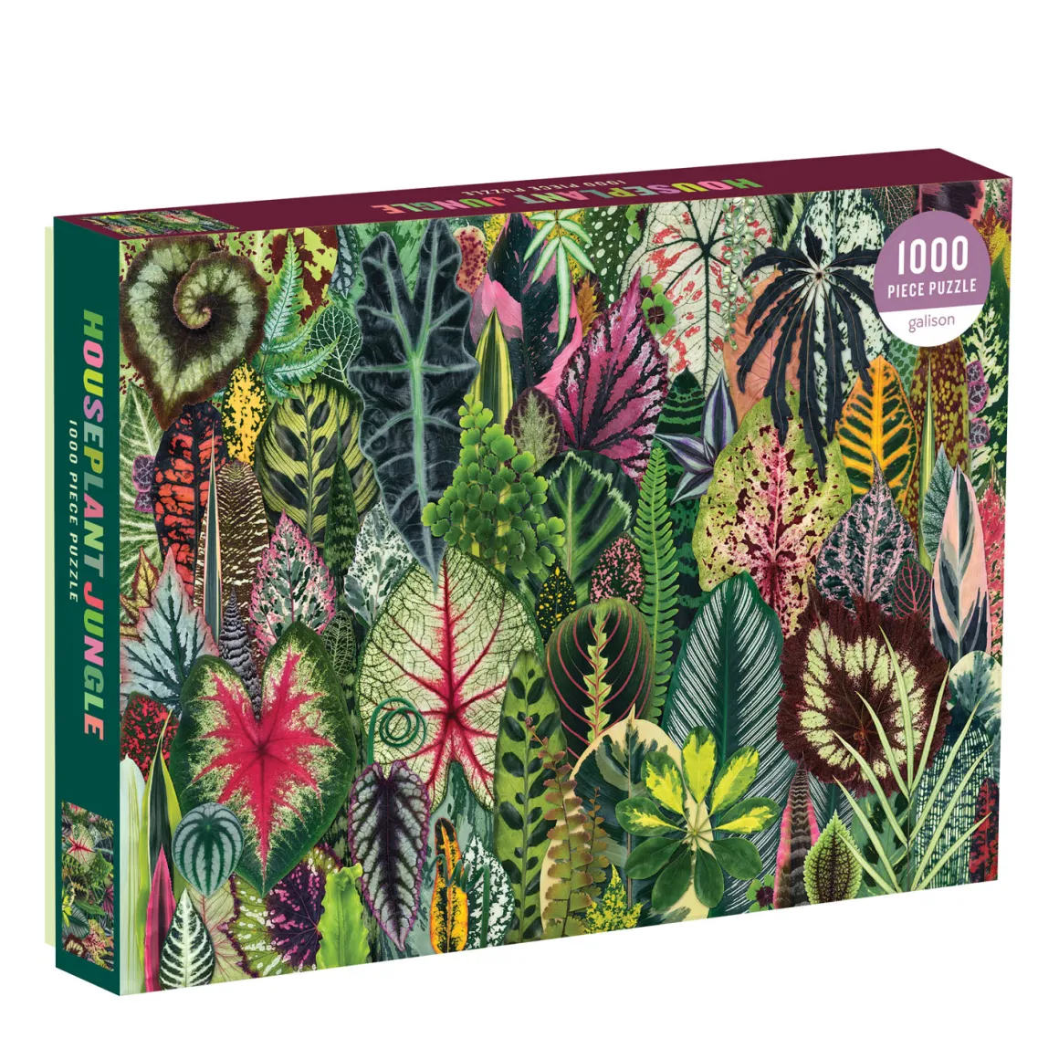 Troy Litten Houseplant Jungle 1000 Piece Jigsaw Puzzle