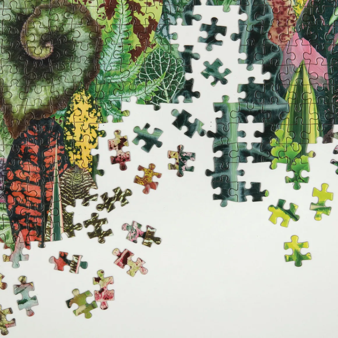 Troy Litten Houseplant Jungle 1000 Piece Jigsaw Puzzle