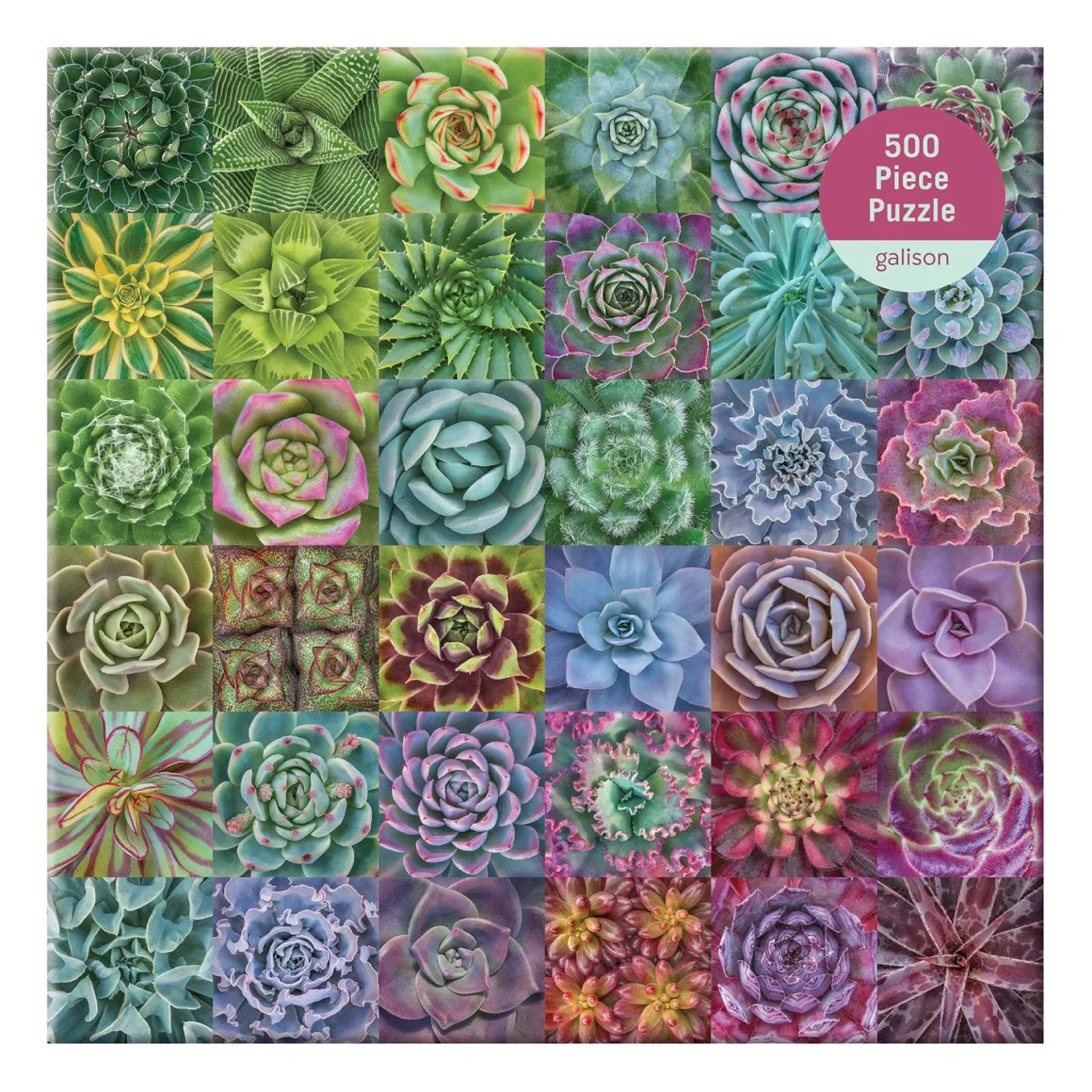 Troy Litten Succulent Spectrum 500 Piece Jigsaw Puzzle